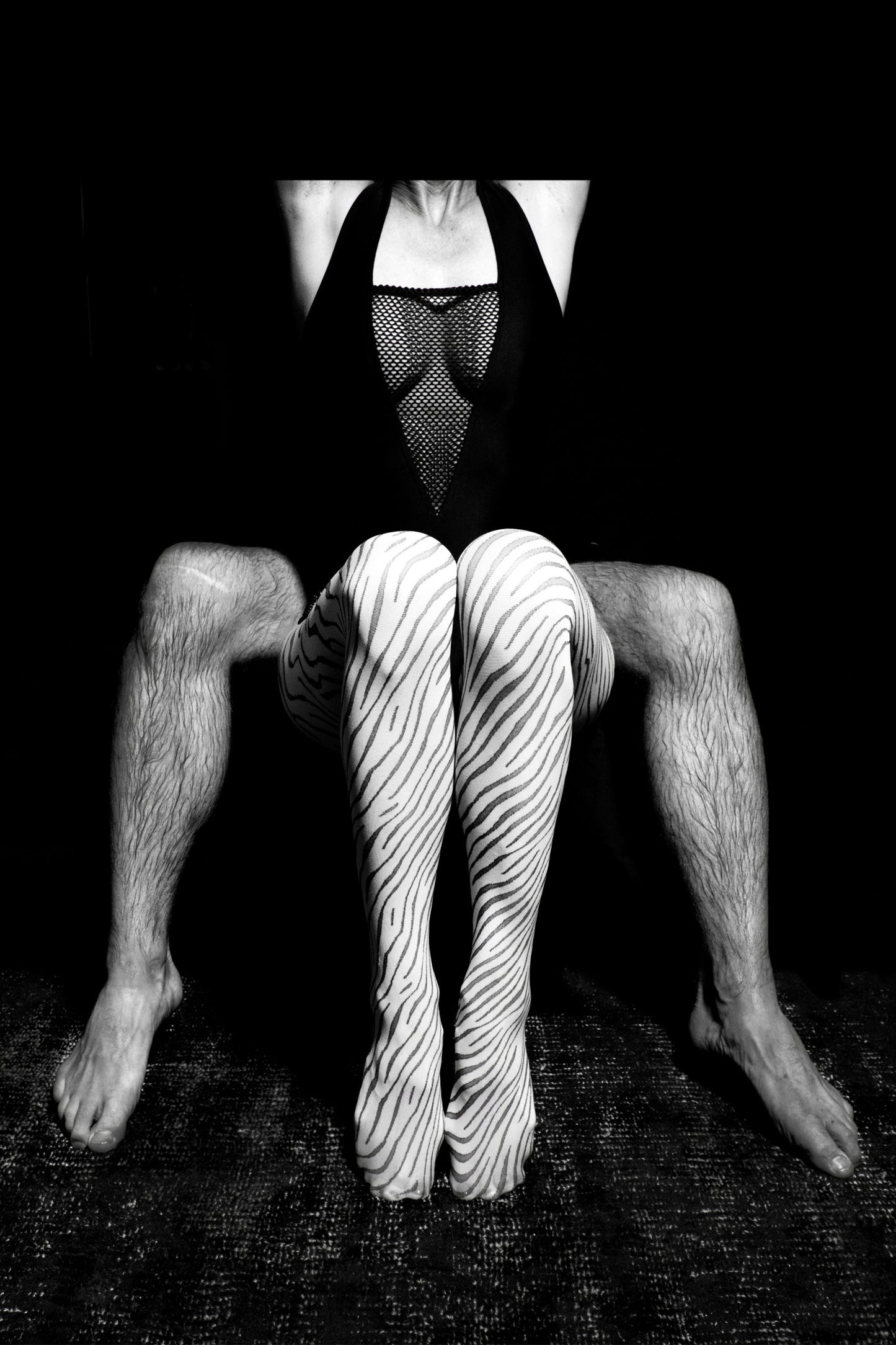 REINWERTH_Zebrafohlen